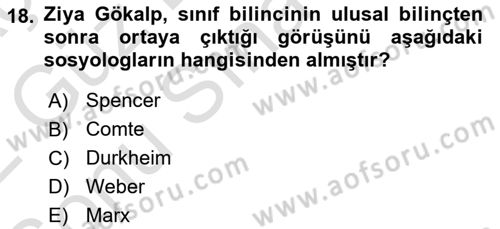 Kültür Sosyolojisi Dersi 2021 - 2022 Yılı (Final) Dönem Sonu Sınav Soruları 18. Soru