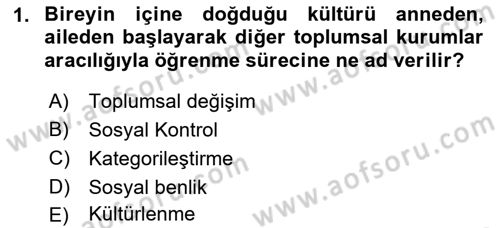 Kültür Sosyolojisi Dersi 2021 - 2022 Yılı Yaz Okulu Sınav Soruları 1. Soru