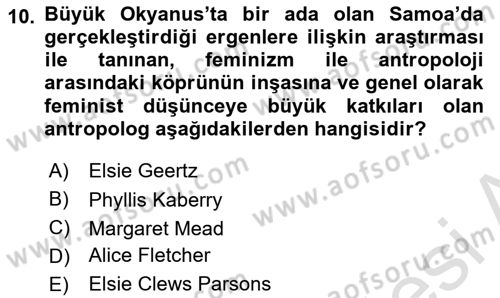 Kültür Sosyolojisi Dersi 2021 - 2022 Yılı Yaz Okulu Sınav Soruları 10. Soru