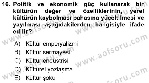 Kültür Sosyolojisi Dersi 2021 - 2022 Yılı Yaz Okulu Sınav Soruları 16. Soru