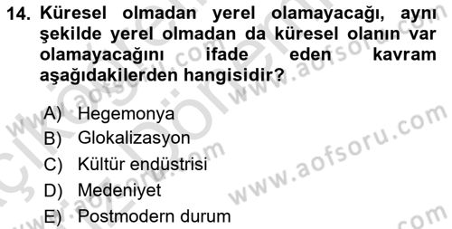 Kültür Sosyolojisi Dersi 2022 - 2023 Yılı (Vize) Ara Sınav Soruları 14. Soru