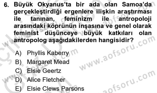 Kültür Sosyolojisi Dersi 2022 - 2023 Yılı (Vize) Ara Sınav Soruları 6. Soru