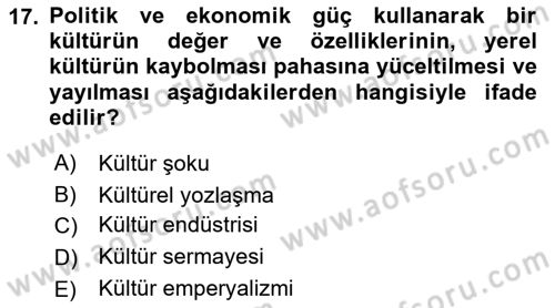 Kültür Sosyolojisi Dersi 2022 - 2023 Yılı (Final) Dönem Sonu Sınav Soruları 17. Soru