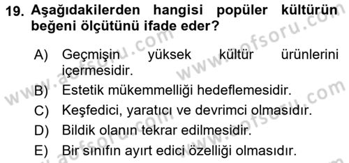 Kültür Sosyolojisi Dersi 2022 - 2023 Yılı (Final) Dönem Sonu Sınav Soruları 19. Soru