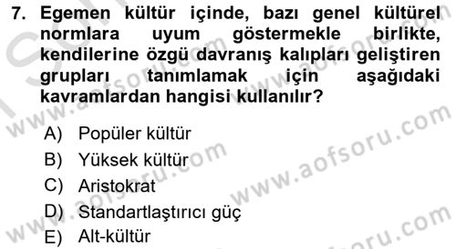 Kültür Sosyolojisi Dersi 2022 - 2023 Yılı (Final) Dönem Sonu Sınav Soruları 7. Soru