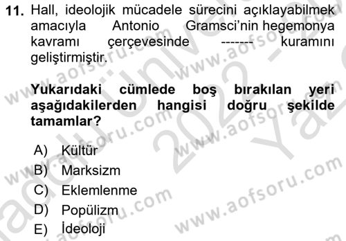 Kültür Sosyolojisi Dersi 2022 - 2023 Yılı Yaz Okulu Sınav Soruları 11. Soru