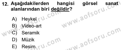 Kültür Sosyolojisi Dersi 2022 - 2023 Yılı Yaz Okulu Sınav Soruları 12. Soru