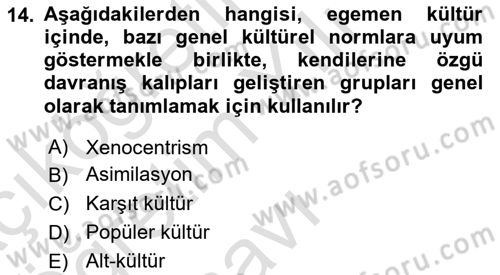Kültür Sosyolojisi Dersi 2022 - 2023 Yılı Yaz Okulu Sınav Soruları 14. Soru