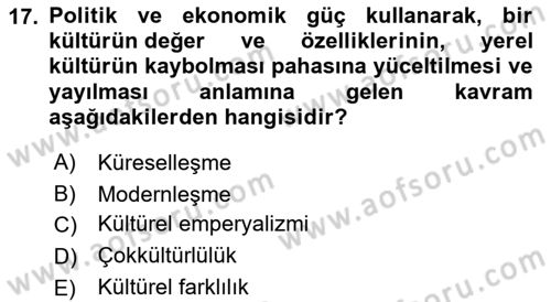 Kültür Sosyolojisi Dersi 2022 - 2023 Yılı Yaz Okulu Sınav Soruları 17. Soru