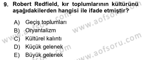 Kültür Sosyolojisi Dersi 2022 - 2023 Yılı Yaz Okulu Sınav Soruları 9. Soru