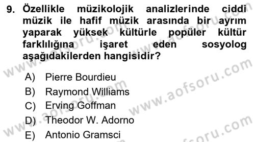 Kültür Sosyolojisi Dersi 2023 - 2024 Yılı (Vize) Ara Sınav Soruları 9. Soru