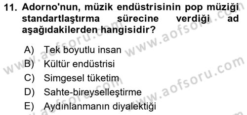 Kültür Sosyolojisi Dersi 2023 - 2024 Yılı (Final) Dönem Sonu Sınav Soruları 11. Soru