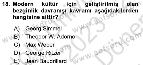 Kültür Sosyolojisi Dersi 2023 - 2024 Yılı (Final) Dönem Sonu Sınav Soruları 18. Soru