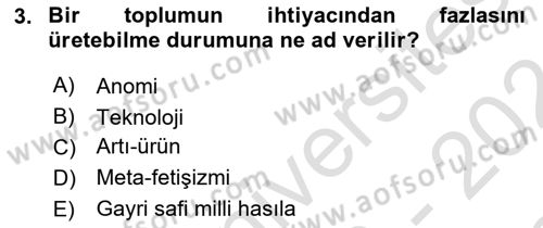 Kültür Sosyolojisi Dersi 2023 - 2024 Yılı (Final) Dönem Sonu Sınav Soruları 3. Soru