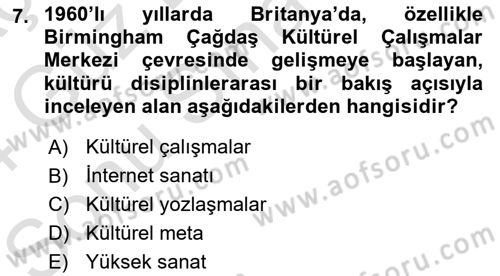 Kültür Sosyolojisi Dersi 2023 - 2024 Yılı (Final) Dönem Sonu Sınav Soruları 7. Soru