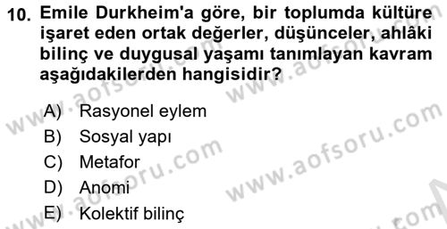 Kültür Sosyolojisi Dersi 2023 - 2024 Yılı Yaz Okulu Sınav Soruları 10. Soru