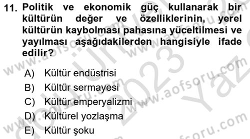 Kültür Sosyolojisi Dersi 2023 - 2024 Yılı Yaz Okulu Sınav Soruları 11. Soru