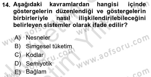 Kültür Sosyolojisi Dersi 2023 - 2024 Yılı Yaz Okulu Sınav Soruları 14. Soru