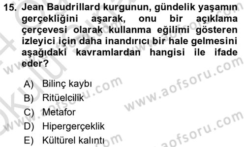 Kültür Sosyolojisi Dersi 2023 - 2024 Yılı Yaz Okulu Sınav Soruları 15. Soru