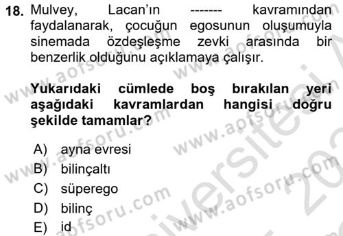 Kültür Sosyolojisi Dersi 2023 - 2024 Yılı Yaz Okulu Sınav Soruları 18. Soru