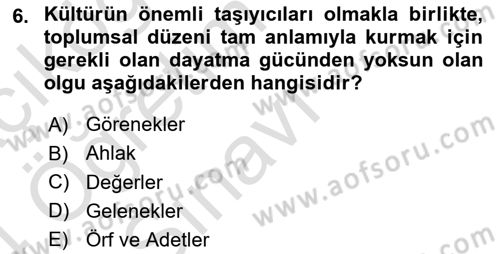 Kültür Sosyolojisi Dersi 2023 - 2024 Yılı Yaz Okulu Sınav Soruları 6. Soru