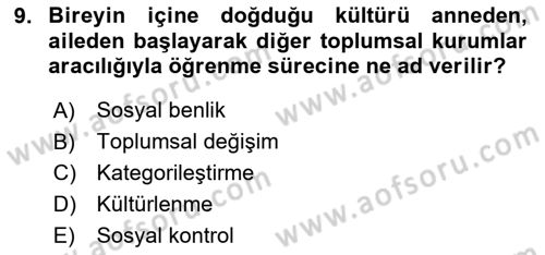 Kültür Sosyolojisi Dersi 2023 - 2024 Yılı Yaz Okulu Sınav Soruları 9. Soru