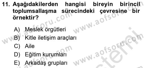 Kültür Sosyolojisi Dersi 2024 - 2025 Yılı (Vize) Ara Sınav Soruları 11. Soru