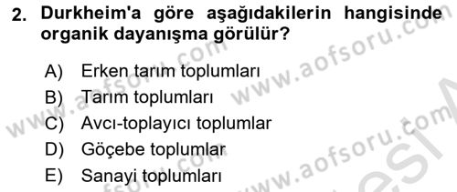 Kültür Sosyolojisi Dersi 2024 - 2025 Yılı (Vize) Ara Sınav Soruları 2. Soru