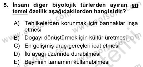 Kültür Sosyolojisi Dersi 2024 - 2025 Yılı (Vize) Ara Sınav Soruları 5. Soru