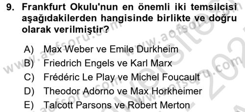 Kültür Sosyolojisi Dersi 2024 - 2025 Yılı (Vize) Ara Sınav Soruları 9. Soru