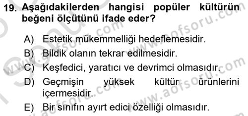 Kültür Sosyolojisi Dersi 2024 - 2025 Yılı (Final) Dönem Sonu Sınav Soruları 19. Soru