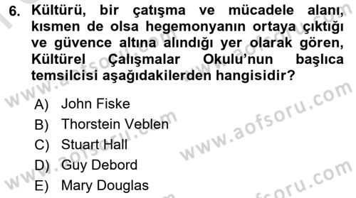 Kültür Sosyolojisi Dersi 2024 - 2025 Yılı (Final) Dönem Sonu Sınav Soruları 6. Soru