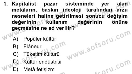 Kültür Sosyolojisi Dersi 2024 - 2025 Yılı Yaz Okulu Sınav Soruları 1. Soru