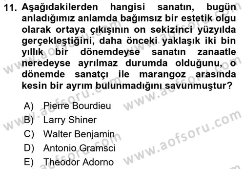 Kültür Sosyolojisi Dersi 2024 - 2025 Yılı Yaz Okulu Sınav Soruları 11. Soru
