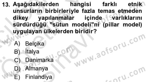 Kültür Sosyolojisi Dersi 2024 - 2025 Yılı Yaz Okulu Sınav Soruları 13. Soru