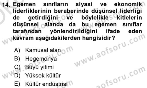Kültür Sosyolojisi Dersi Yaz Okulu Sınavı Deneme Sınav Soruları 14. Soru