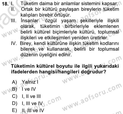 Kültür Sosyolojisi Dersi 2024 - 2025 Yılı Yaz Okulu Sınav Soruları 18. Soru