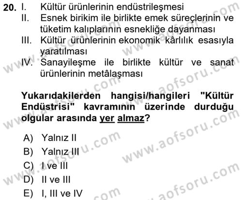 Kültür Sosyolojisi Dersi 2024 - 2025 Yılı Yaz Okulu Sınav Soruları 20. Soru