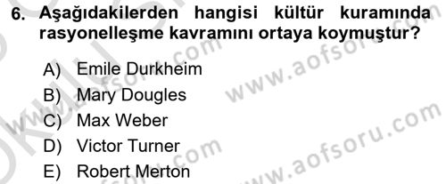 Kültür Sosyolojisi Dersi 2024 - 2025 Yılı Yaz Okulu Sınav Soruları 6. Soru