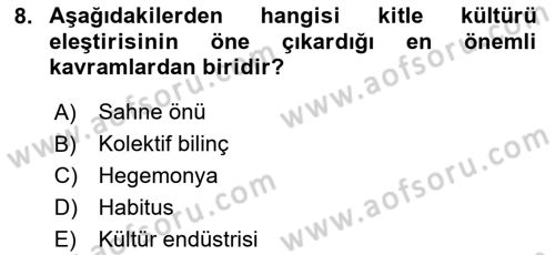 Kültür Sosyolojisi Dersi 2024 - 2025 Yılı Yaz Okulu Sınav Soruları 8. Soru