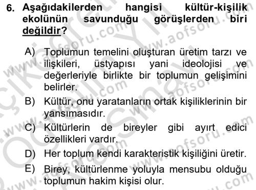Kültür Sosyolojisi Dersi 2025 - 2026 Yılı (Vize) Ara Sınav Soruları 6. Soru