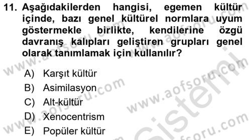 Kültür Sosyolojisi Dersi 2025 - 2026 Yılı (Final) Dönem Sonu Sınav Soruları 11. Soru
