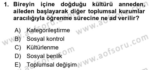 Kültür Sosyolojisi Dersi 2025 - 2026 Yılı Yaz Okulu Sınav Soruları 1. Soru