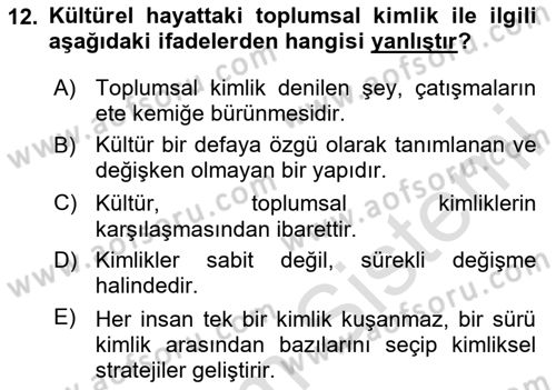 Kültür Sosyolojisi Dersi 2025 - 2026 Yılı Yaz Okulu Sınav Soruları 12. Soru