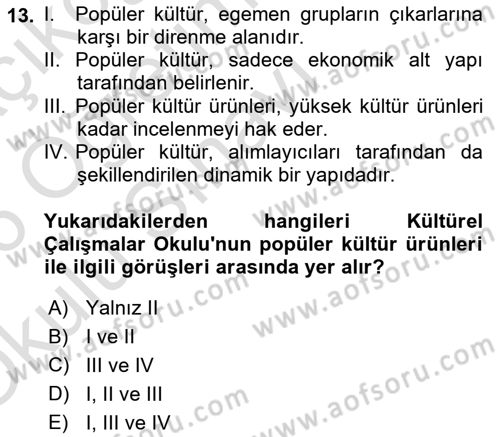 Kültür Sosyolojisi Dersi 2025 - 2026 Yılı Yaz Okulu Sınav Soruları 13. Soru