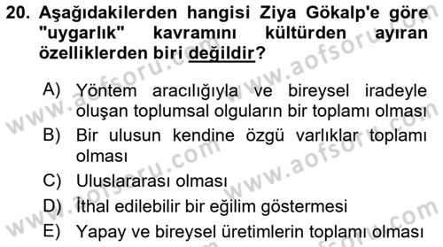 Kültür Sosyolojisi Dersi 2025 - 2026 Yılı Yaz Okulu Sınav Soruları 20. Soru