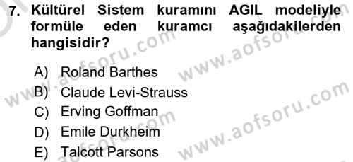 Kültür Sosyolojisi Dersi 2025 - 2026 Yılı Yaz Okulu Sınav Soruları 7. Soru