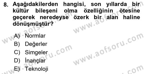 Kültür Sosyolojisi Dersi 2025 - 2026 Yılı Yaz Okulu Sınav Soruları 8. Soru