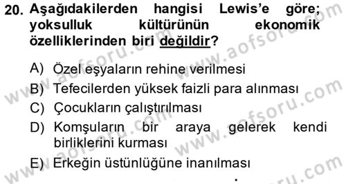 Kent Sosyolojisi Dersi 2014 - 2015 Yılı (Final) Dönem Sonu Sınav Soruları 20. Soru