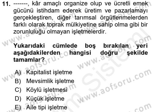 Kent Sosyolojisi Dersi 2017 - 2018 Yılı 3 Ders Sınav Soruları 11. Soru